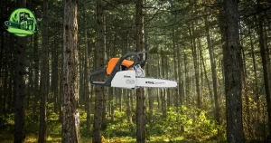 avis Stihl MS 170