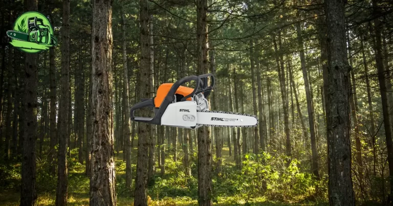 avis Stihl MS 170