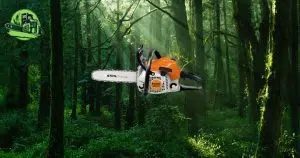 Avis Stihl MS 211