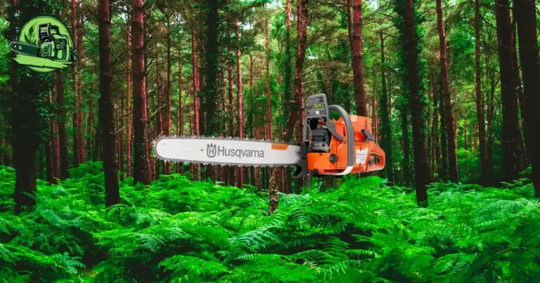 tronçonneuse Husqvarna 372 XP avis