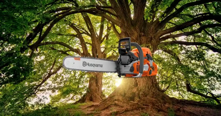 tronçonneuse Husqvarna 562XP