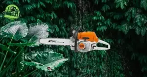 Stihl MS 291 avis