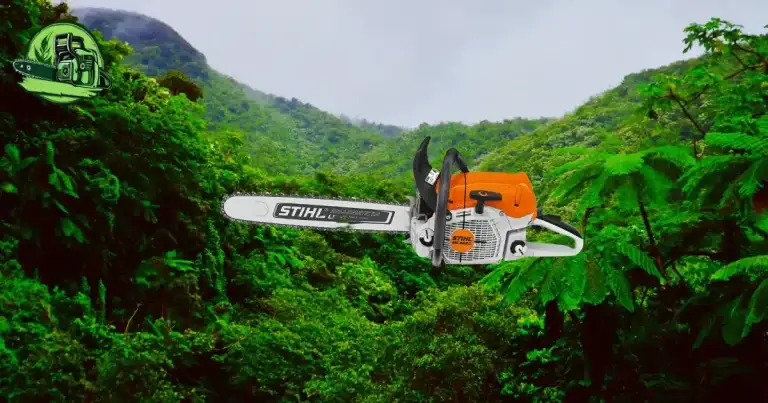 Stihl MS 462 C-M avis