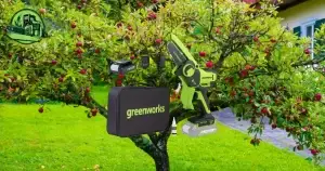 mini-tronçonneuse Greenworks avis